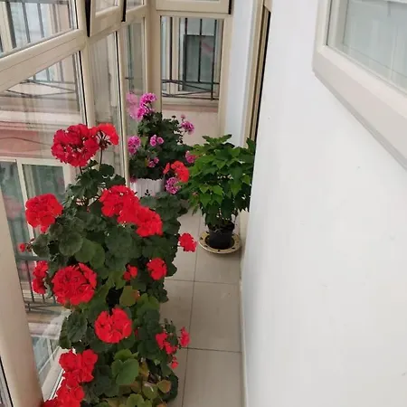 Exclusivo Apartamento Con Garaje